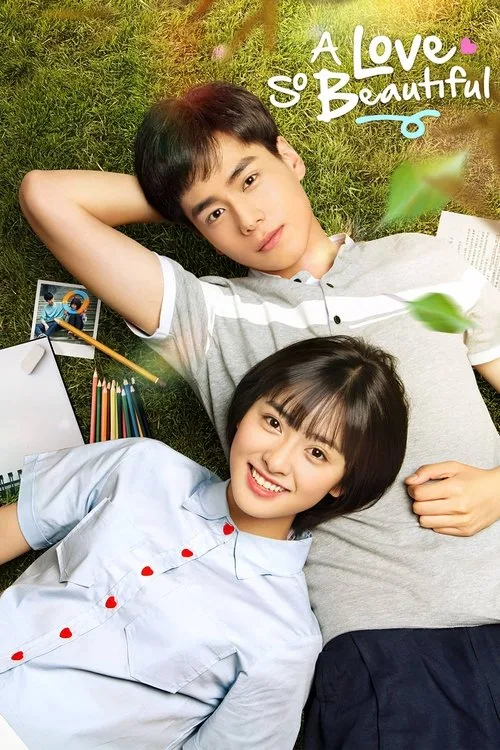 Official theatrical poster for A Love So Beautiful (2017)