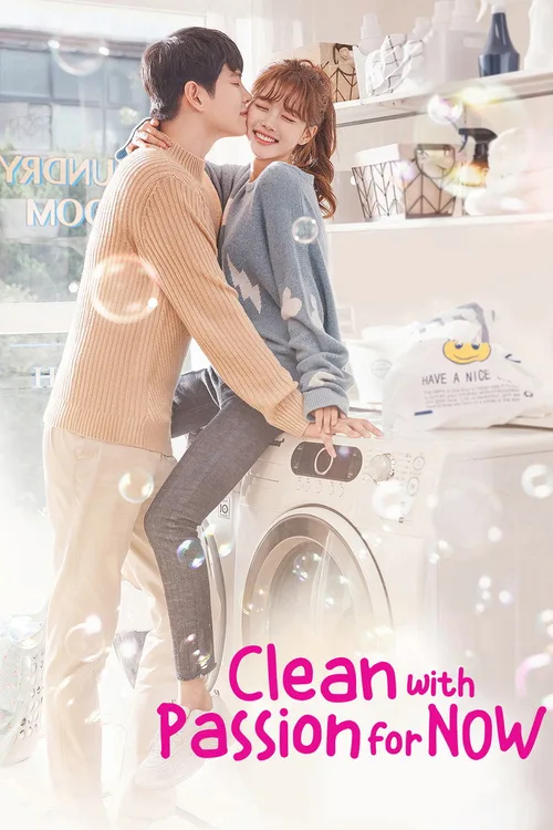 Official theatrical poster for Clean with Passion for Now (2018)