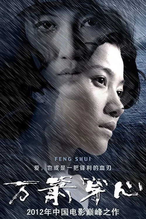 Official theatrical poster for Feng Shui (2012)
