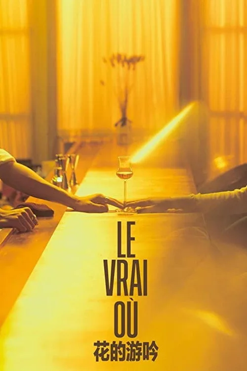 Official theatrical poster for Le Vrai Où (2020)