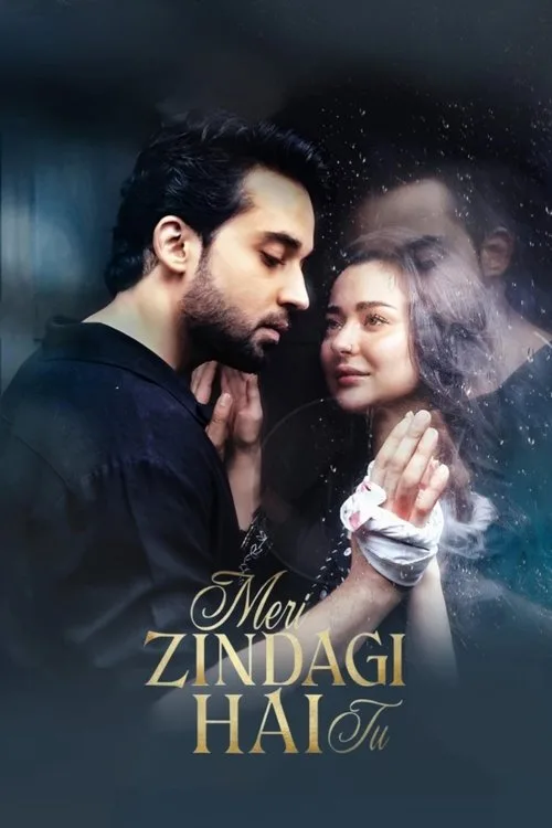 Official theatrical poster for Meri Zindagi Hai Tu (2025)