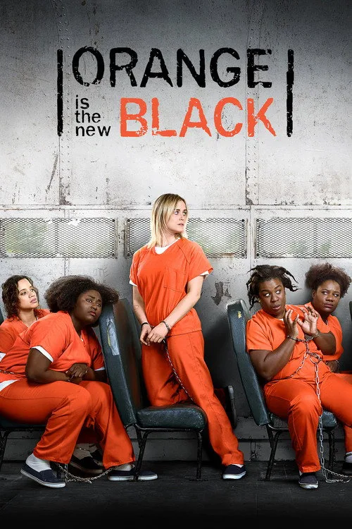 Official theatrical poster for Orange Is the New Black (2013)