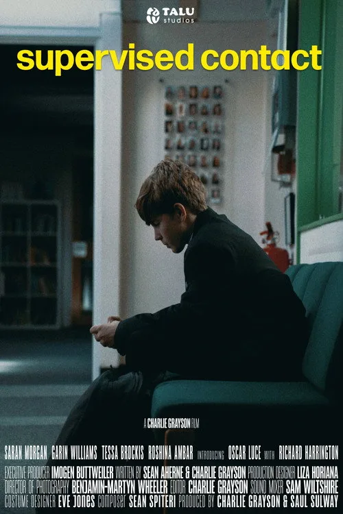 Official theatrical poster for Supervised Contact (2027)