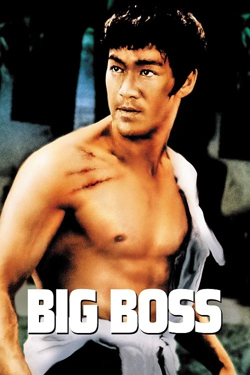 Official theatrical poster for The Big Boss (1971)