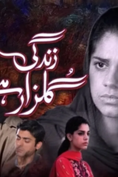 Official theatrical poster for Zindagi Gulzar Hai (2012)